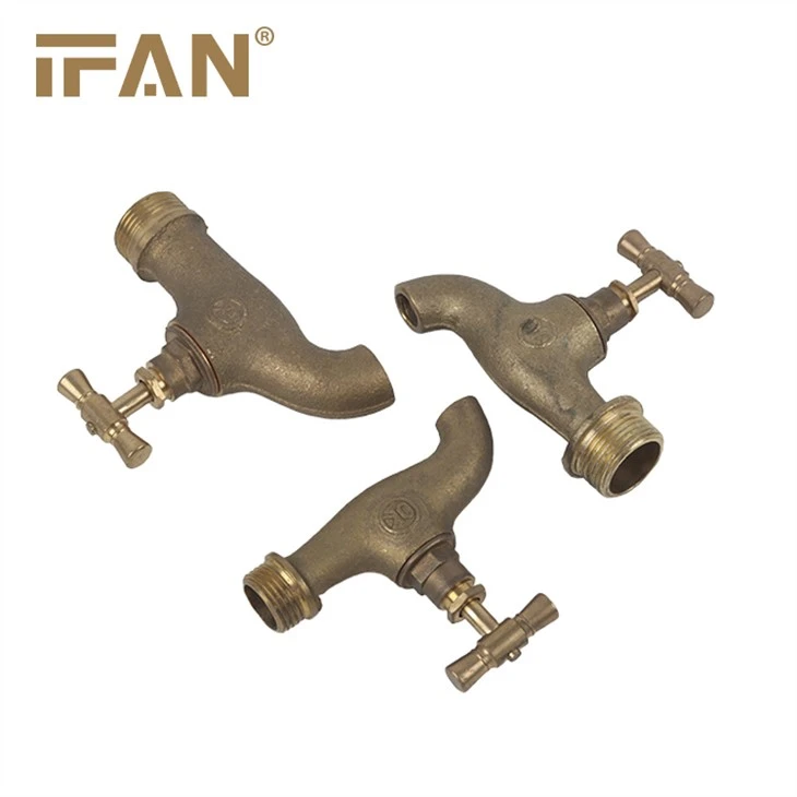 کاک برنجی آب IFAN